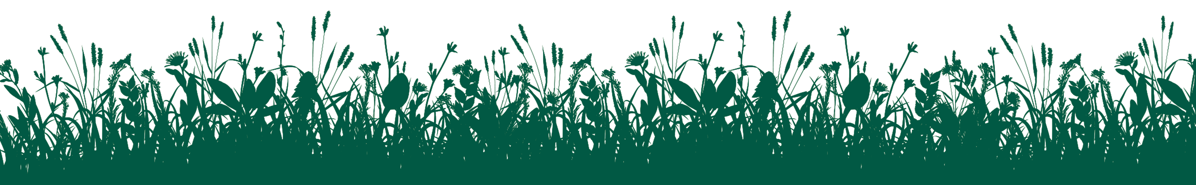 OFU_Kraft_Background